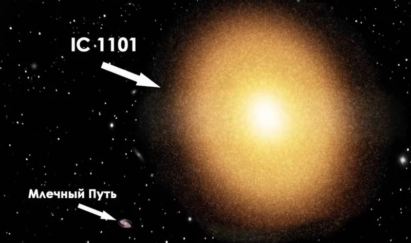 Астрономы уточнили размеры самой большой известной галактики IC 1101 — она в 17 раз превосходит Млечный Путь