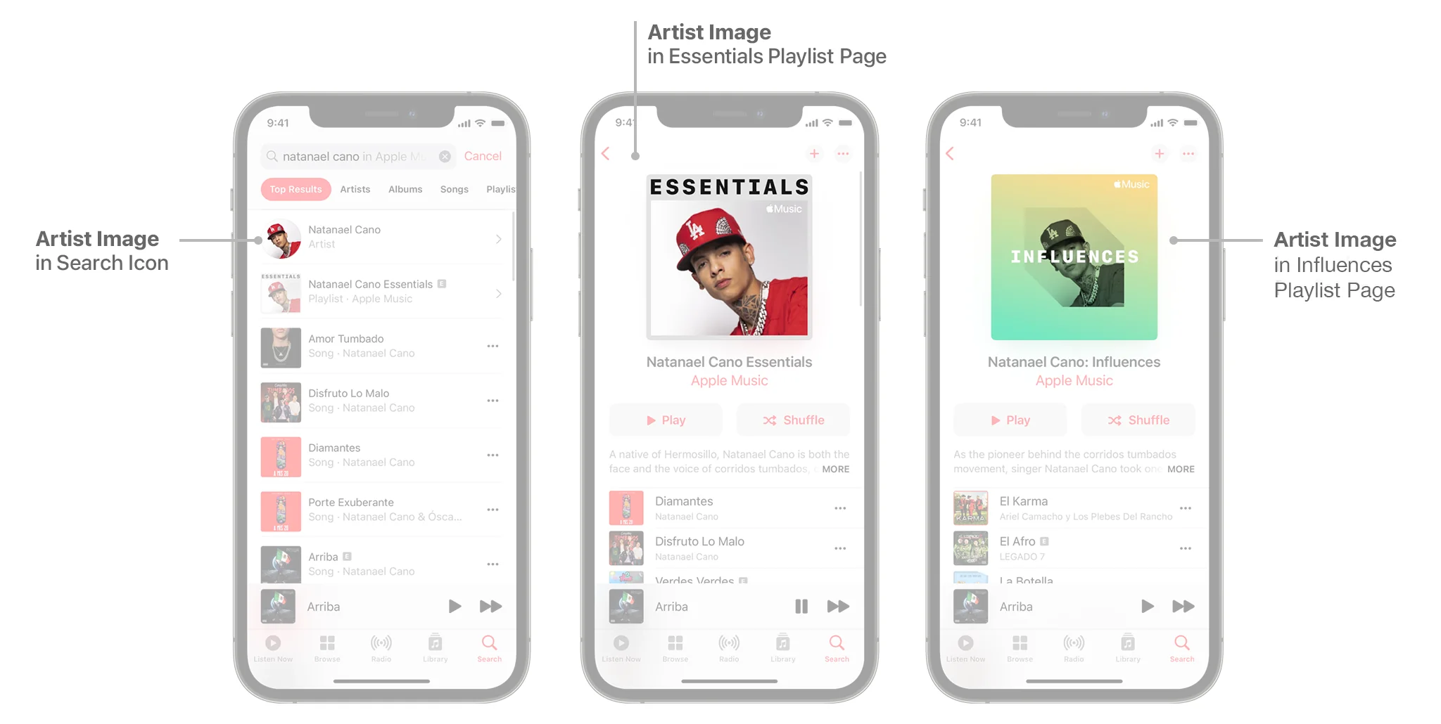 таймлайн внедрения тегов прозрачности в Apple Music