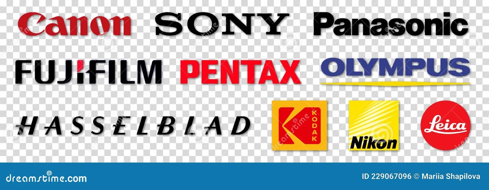 логотипы Canon, Sony, Fujifilm, Nikon на фоне графика роста рынка