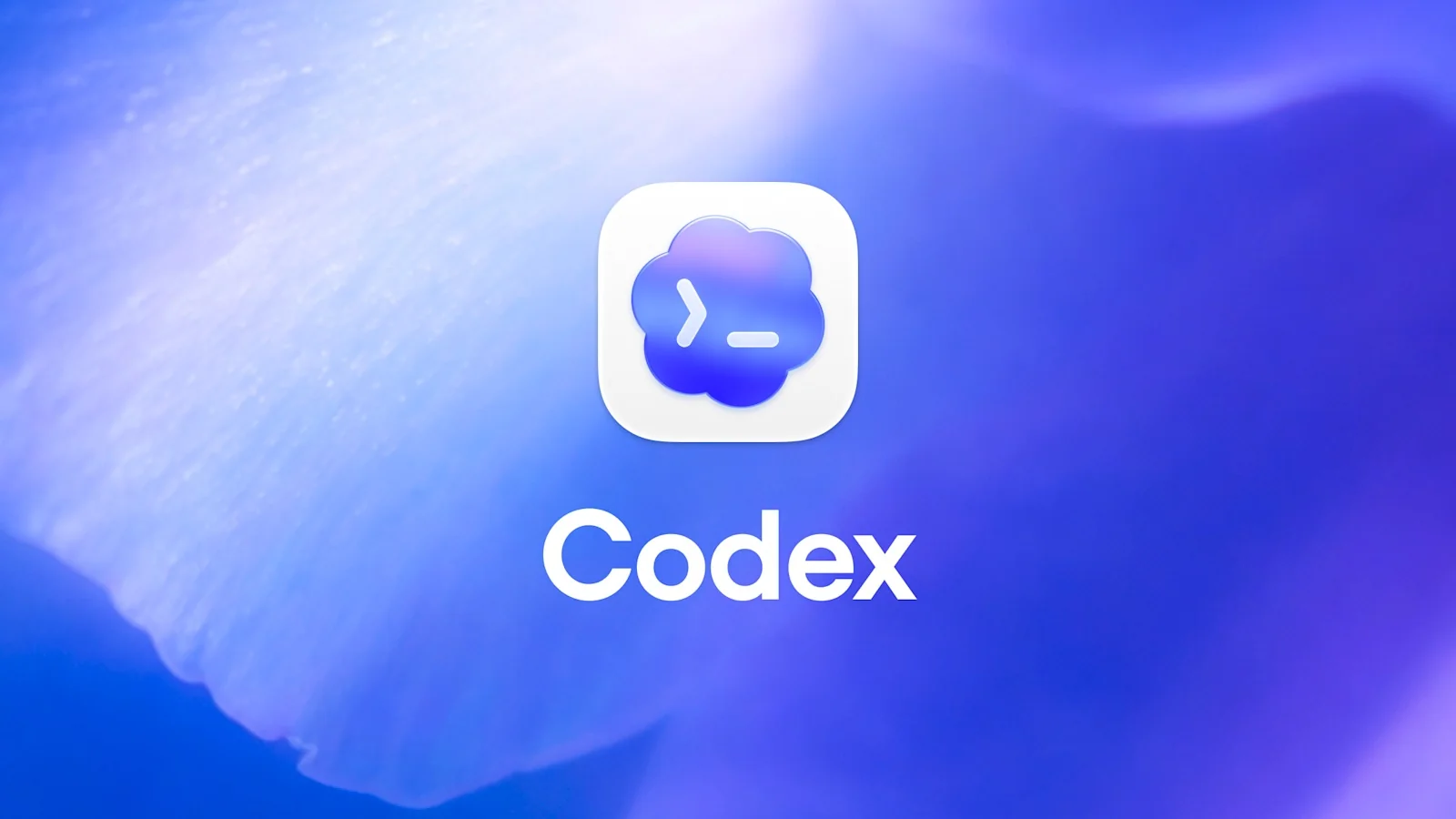 Логотип OpenAI и продуктов ChatGPT Codex