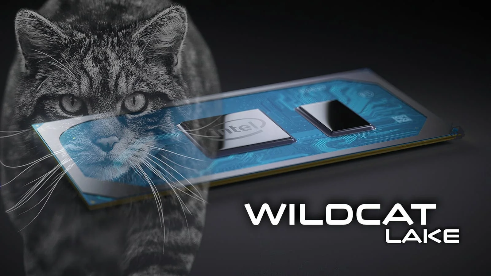 процессоры Intel Wildcat Lake